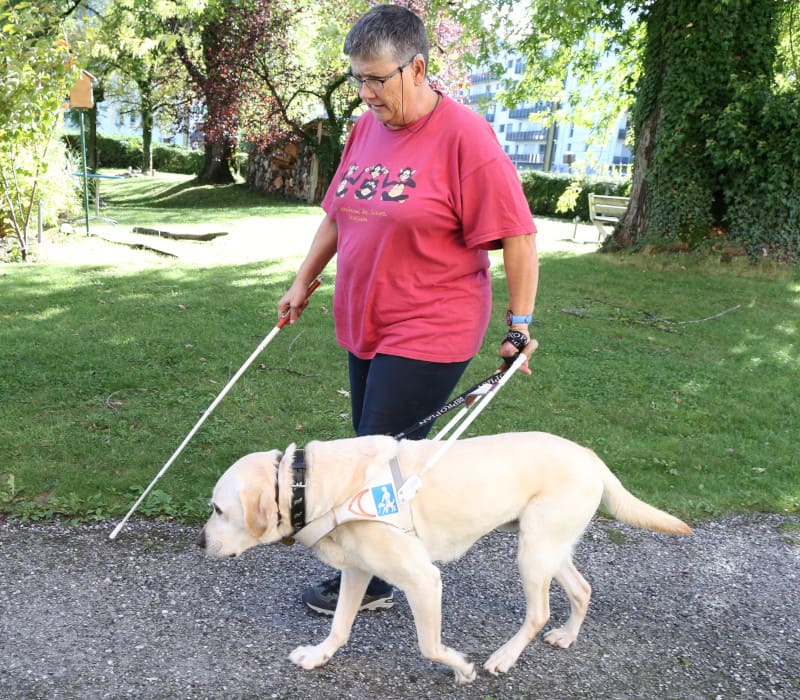 Réseau et Partenaires - fondation romande FRSA sourdaveugles surdicecite suisse